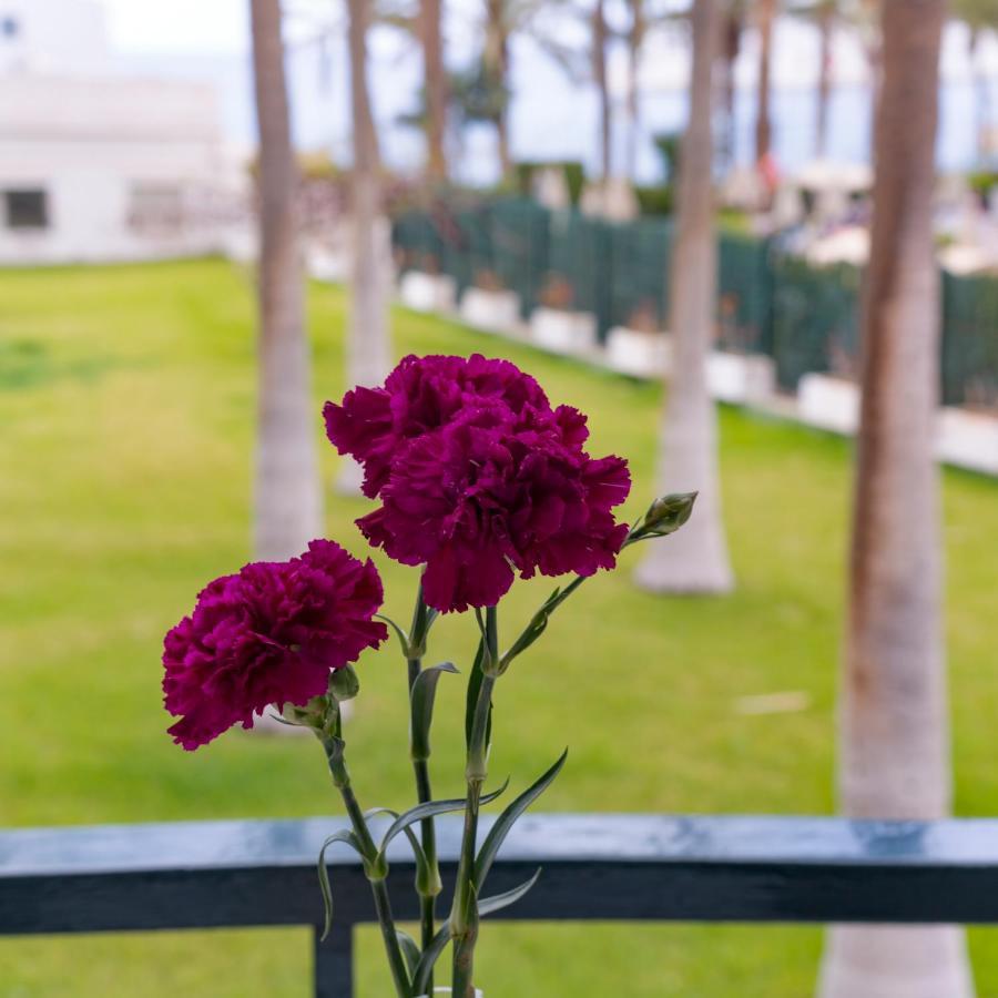 Studio Ocean Coast Los Cristianos Comodoro Eksteriør billede