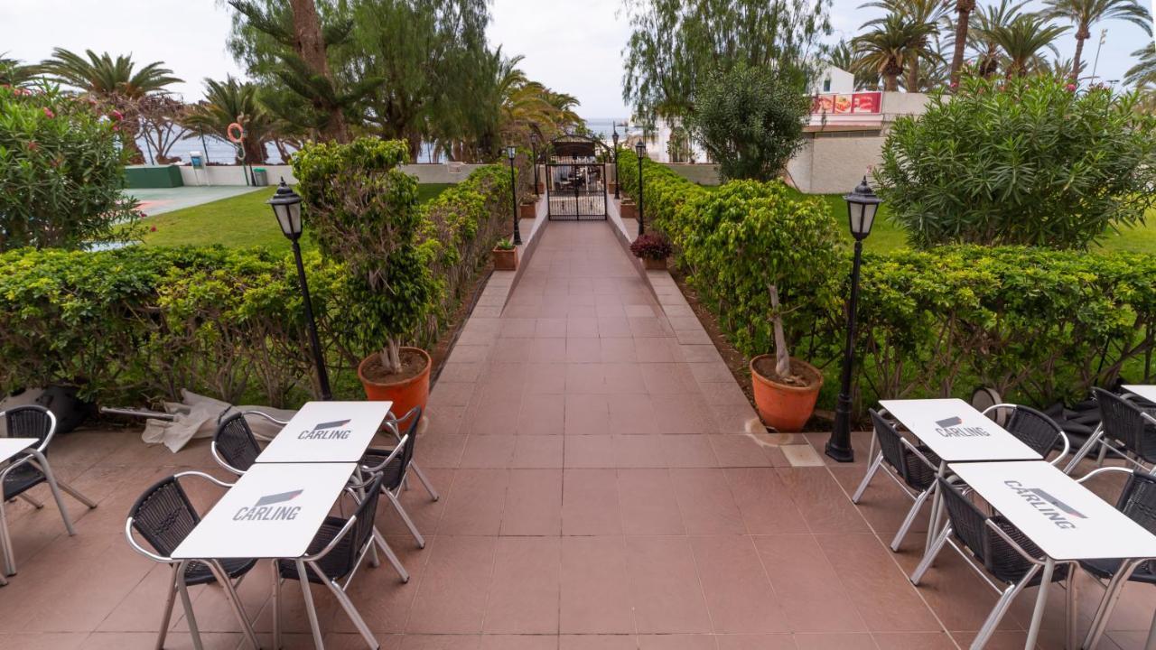 Studio Ocean Coast Los Cristianos Comodoro Eksteriør billede